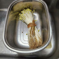 ねこのガストン's cooksnap of when they made 大鰐もやしの豚肉炒め♪.