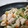 ストーンズみかん's cooksnap of when they made 塩ダレ☆鶏肉とネギ･舞茸ささっと炒め☆.