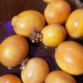 ふぁんころ's cooksnap of when they made おうち居酒屋☆鶏きんかんの甘露煮.