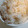 ミロ9607's cooksnap of when they made 簡単☆絶品干しえび・桜えびの炊き込みご飯.