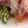 ☆lalapin☆'s cooksnap of when they made 鯛の中華風刺身・食べるラー油ソース.