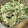 ☆8トマチー8☆'s cooksnap of when they made こごみの和風ツナマヨ和え.