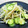 horseland's cooksnap of when they made もやしときゅうりの中華ナムル.
