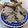 HaRuC0Ma's cooksnap of when they made 簡単☆ラム肉のオーブン焼き.