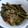 ガトーさん's cooksnap of when they made 簡単わらびの胡麻油炒め.