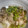 ♪さーちゃん♪'s cooksnap of when they made 豆腐ときのこの白だし煮♩.