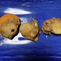さざんかです's cooksnap of when they made 簡単★ホタテの貝焼き.