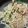 rimamapu's cooksnap of when they made ☆即席おつまみ☆えのきめんたい.