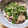 ゆかりんご117♪'s cooksnap of when they made シェフ直伝ネギ塩豚、豚バラ、切り落とし.
