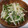 fu♪♪'s cooksnap of when they made 大根と水菜と油揚げの山椒ドレッシング和え.
