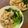 ecobeer's cooksnap of when they made 水餃子【餃子鍋、スープ餃子にも】.