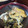 ＊実月＊'s cooksnap of when they made わらびとツナの卵とじ.