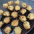 えつおくん's cooksnap of when they made 我家定番～チョコチップクッキー♪.