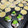 ☆あさ's cooksnap of when they made 手軽に！たこ焼き器でアヒージョ.