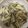 かおり♡♡♡'s cooksnap of when they made レンジで簡単！！きのこマリネ.