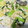 クック6DDPP8☆'s cooksnap of when they made 豆腐と小松菜と卵の炒め物.