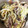 クッキン坊主's cooksnap of when they made 豚たんのもやし炒め.