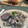 saki1010's cooksnap of when they made 豚ヒレ肉の粒マスタードソース。.