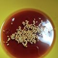 ☆卵大好き☆'s cooksnap of when they made チヂミのタレ.