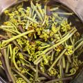 クックE2R3YU☆'s cooksnap of when they made 短時間でわらびあく抜き.