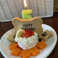 クックKYR70K☆'s cooksnap of when they made 超簡単！犬用ケーキ！材料3つ！！.
