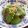 クックG1CG0C☆'s cooksnap of when they made 材料１個、絶品すぎるピーマン炒め！.