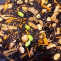 なんだっけママさん's cooksnap of when they made ひじき煮.