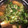 みーこ 's cooksnap of when they made たっぷりネギと豚ひき肉のとろみ豆腐♡.