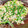 チェビス's cooksnap of when they made ５分で簡単！旨塩もやし炒め.