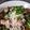 LunaJuno's cooksnap of when they made ナスの揚げ浸しひんやりざる蕎麦.