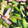 クック3VRM7V☆'s cooksnap of when they made 青梗菜ともやしの中華風卵炒め.