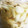 クックLW3FSC☆'s cooksnap of when they made 簡単！らっきょの甘酢漬け２０２２.
