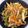 ままこーちょー's cooksnap of when they made 薄切り牛肉と野菜のご飯がススム炒め物☆.