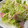 ＭＩ−ＳＡＮ's cooksnap of when they made レンジで簡単！春キャベツの塩バター蒸し.