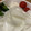 ﾌﾞﾚﾝﾀﾞ's cooksnap of when they made 長芋の皮のむき方＆短冊の切り方伝授します.