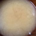 ゆりはるみ♡'s cooksnap of when they made 蒲鉾のお味噌汁.