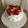 クックYI5GY5☆'s cooksnap of when they made クリスマスリースのシフォンケーキ♪.
