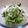 NEKOほっぺ's cooksnap of when they made 玉ねぎ麹で、手作りドレッシング.
