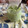 クック49L4Ho☆'s cooksnap of when they made お家でちょっとカフェ気分アイス抹茶ラテ.