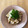 kei_chan4's cooksnap of when they made 【農家のレシピ】たけのこの木の芽和え.