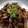 TYSK's cooksnap of when they made ■たれが旨い！豚肉と茄子のスタミナ焼き■.