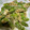 クックVIRD3V☆'s cooksnap of when they made 定番の味【さやえんどうの卵とじ】.