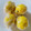 azbjbn's cooksnap of when they made まるごとレモンの保存.