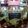 クック2O2RWD☆'s cooksnap of when they made 簡単薬膳！美容に◎クコなつめ果実酒.