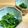 ぽろっとＱちゃん's cooksnap of when they made 春菊の胡麻和え.
