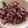 nut3238's cooksnap of when they made 生ほたるいかのゆで方.