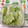 おはなすき's cooksnap of when they made レタスときゅうりのやみつきナムル.