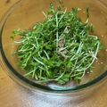 kimig's cooksnap of when they made 豆苗とツナのサラダ.
