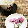 horseland's cooksnap of when they made 桜の花で♡簡単桜の塩漬け.
