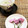 horseland's cooksnap of when they made 桜の花で♡簡単桜の塩漬け.